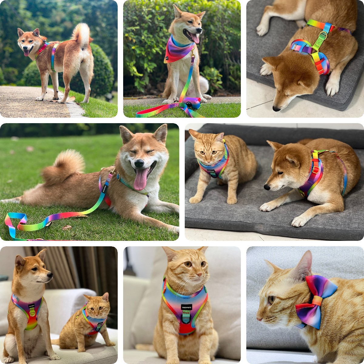 Harnais coloré pour chiot OKEYPETS, harnais de poitrine en maille douce et respirante pour chien 19