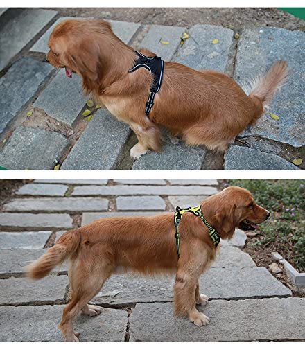 Harnais de dressage réfléchissant pour chien, gilet personnalisé pour chien d'assistance imprimé pour chiot 13