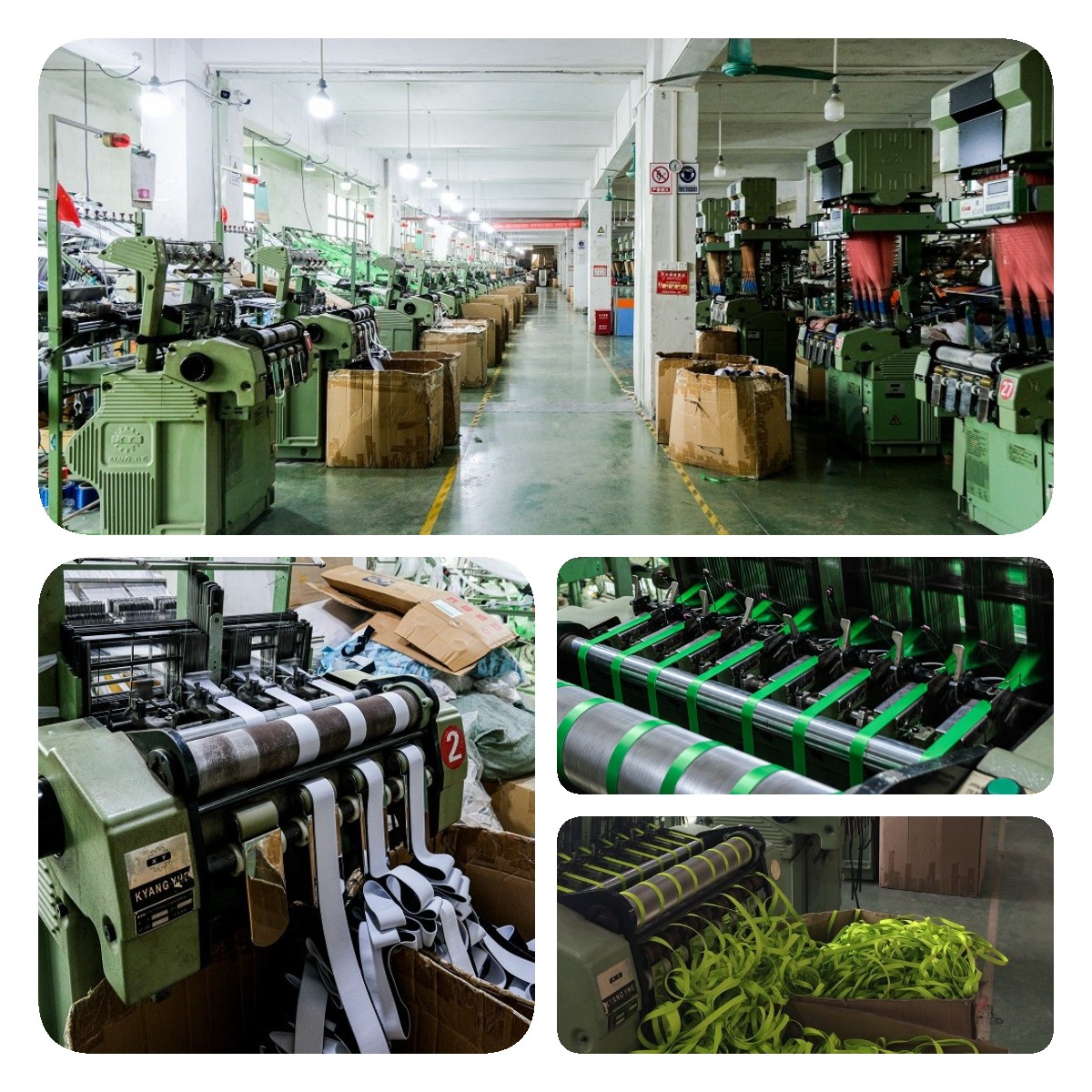 Laisse pour chien Okeypets, résistante, imperméable et écologique, en sangle PVC souple et durable. 15