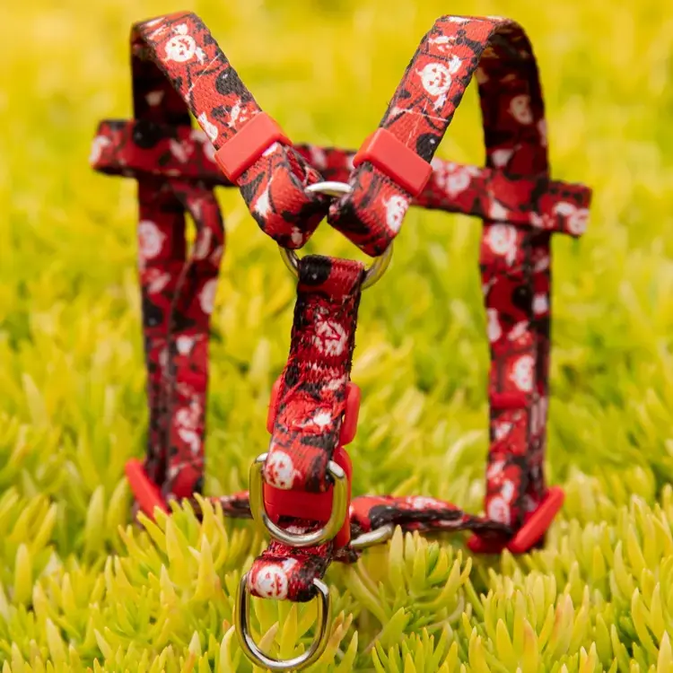 Custom Dog Harness Manufacturer: OKEYPETS 2