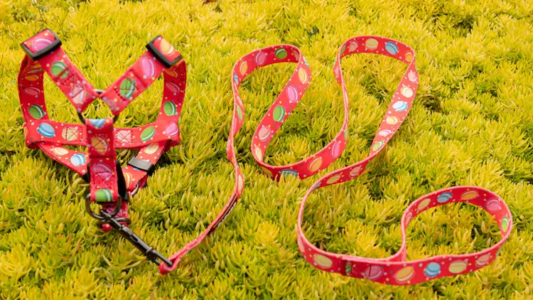 OKEYPETS Beg Galas Boleh Laras Gaya Panas Pemindahan Sublimasi Pereka Kartun Comel Halloween Anjing Abah-abah Untuk Anjing Yang Kuat 1