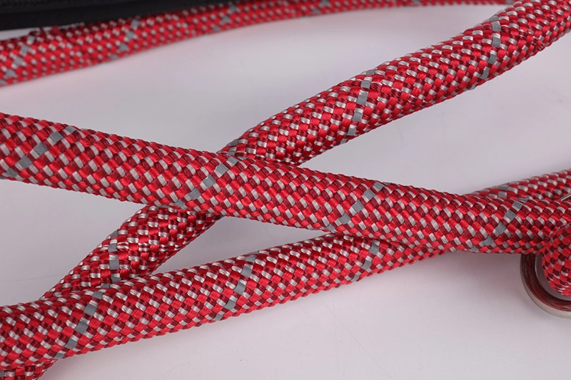 Laisse OKEYPETS robuste et durable pour chien, en corde résistante et réfléchissante, avec poignée souple. 13