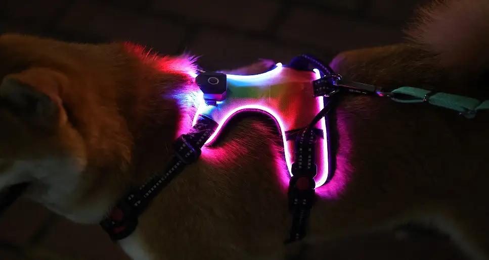 OKEYPETS Harnais pour chien robuste et durable sur mesure en toile avec LED - Usine 1