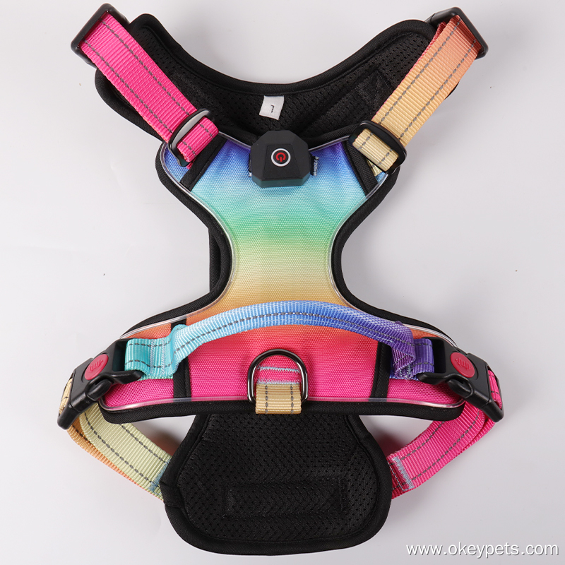 OKEYPETS Harnais pour chien robuste et durable sur mesure en toile avec LED - Usine 9