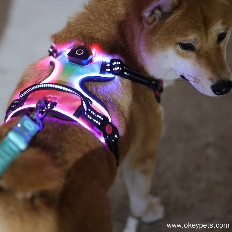 OKEYPETS Harnais pour chien robuste et durable sur mesure en toile avec LED - Usine 16