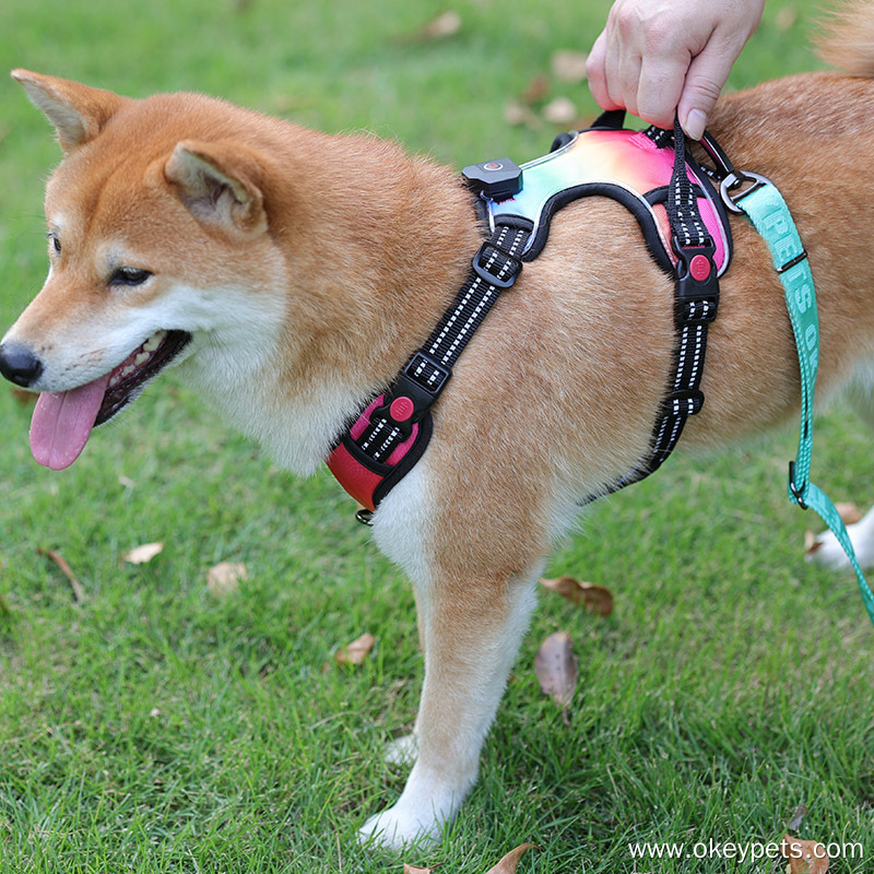 OKEYPETS Harnais pour chien robuste et durable sur mesure en toile avec LED - Usine 13