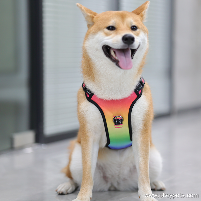 OKEYPETS Harnais pour chien robuste et durable sur mesure en toile avec LED - Usine 11