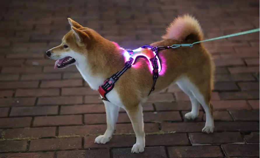 OKEYPETS Kestävät LED-koiranvaljaat Ei vedä heijastavia hengittäviä lemmikkivaljaita kirkkaat LED-koiranvaljaat 1