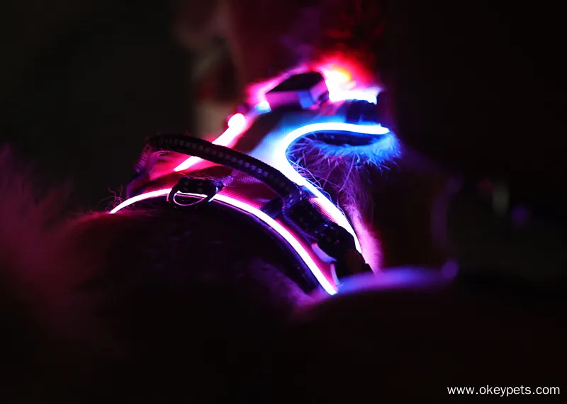 Printed heavy duty large dog harness wholesale | OKEYPETS 2