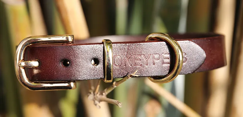 Coiléir Madraí Leathair Sómasacha - Cáilíocht &amp; Stíl Gan Samhail 3