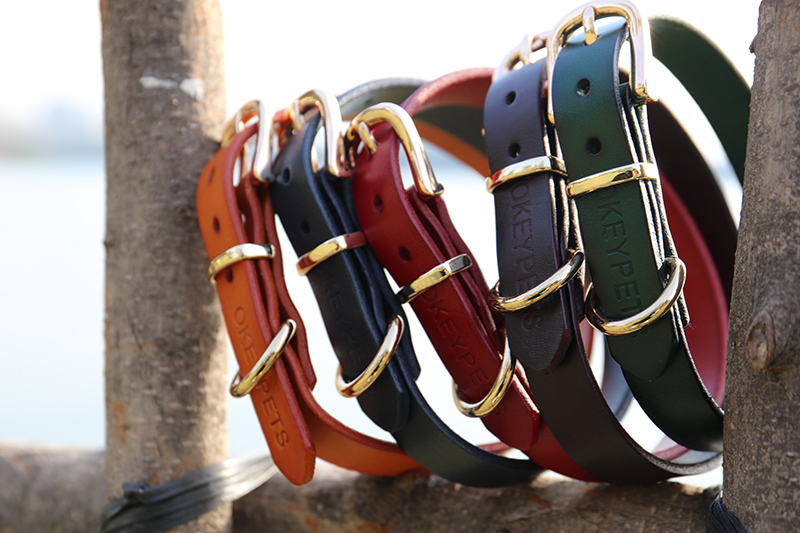 Colliers pour chiens en cuir résistant, colliers en cuir marron pour bouledogues - Fournisseur OKEYPETS 12