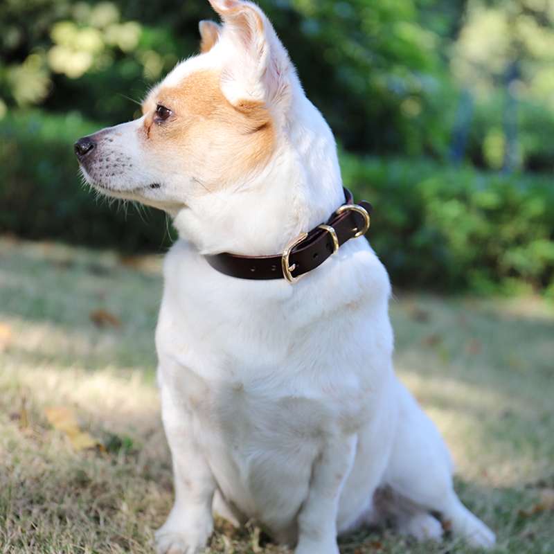Fabricant de colliers pour chiens en cuir avec logo en relief personnalisé. Collier pour chien en cuir marron. 8
