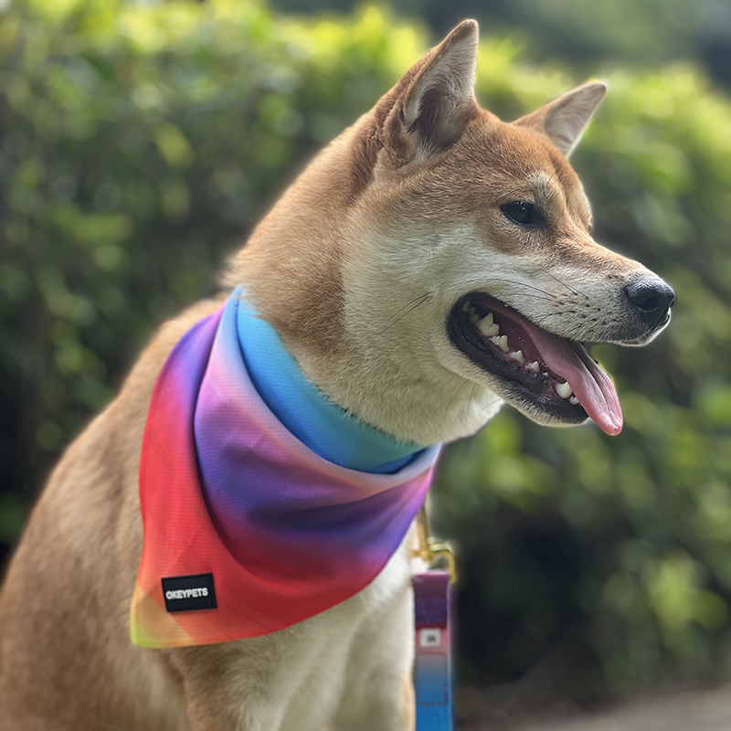 Bandana pour chien OKEYPETS personnalisé en polyester sublimé, doux et respirant, idéal pour la randonnée et la mode, avec un design unique 7