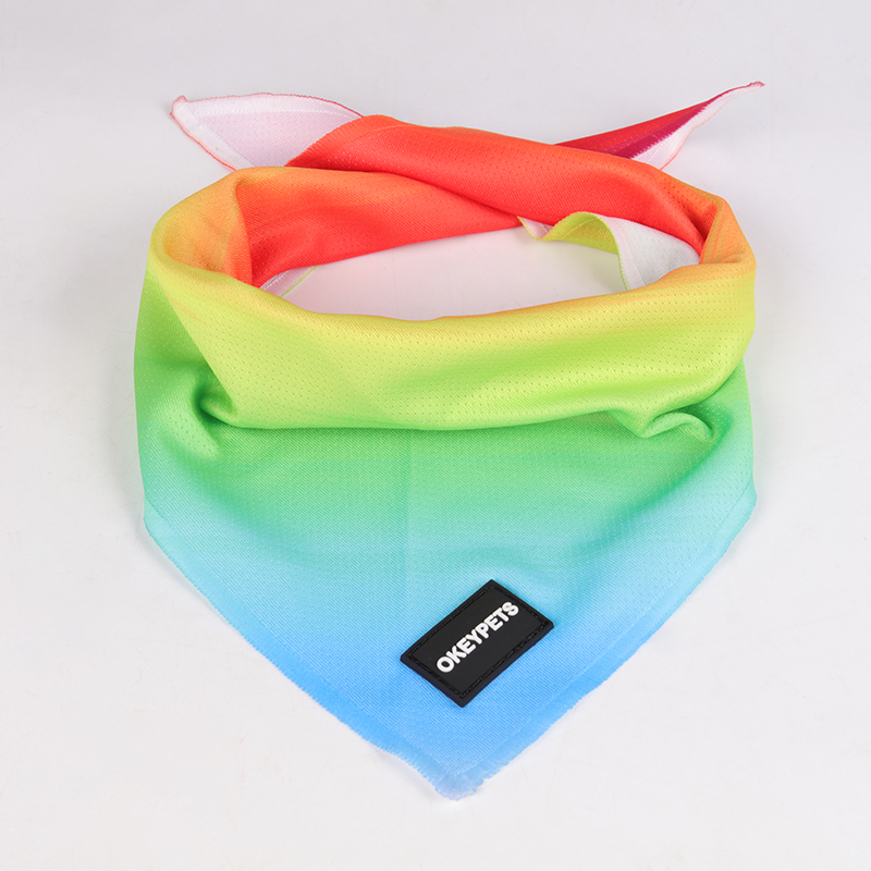Bandana pour chien OKEYPETS personnalisé en polyester sublimé, doux et respirant, idéal pour la randonnée et la mode, avec un design unique 9
