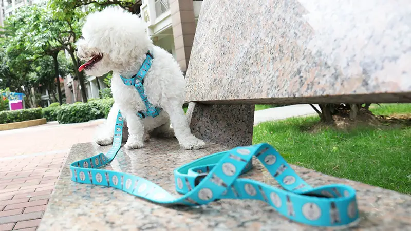 OKEYPETS Durable Pet Harness Print Patterns Adjustable Dog Harness For Pet Sports 1