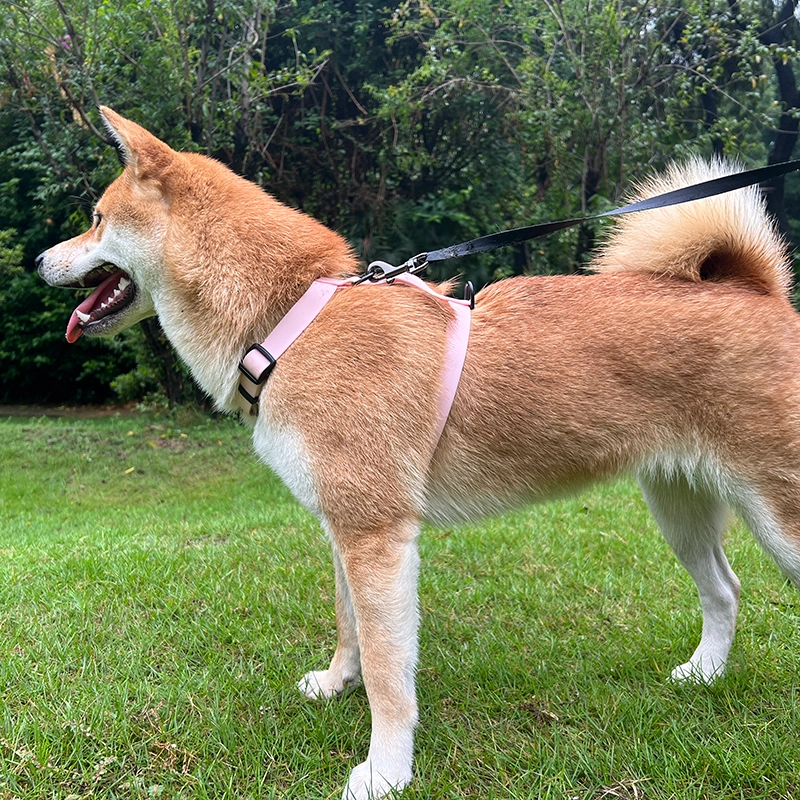 OKEYPETS rozā krāsas PVC ūdensnecaurlaidīgs suņu iejūgs, mazgājams, regulējams, āra mājdzīvnieku iejūgs suņiem 18