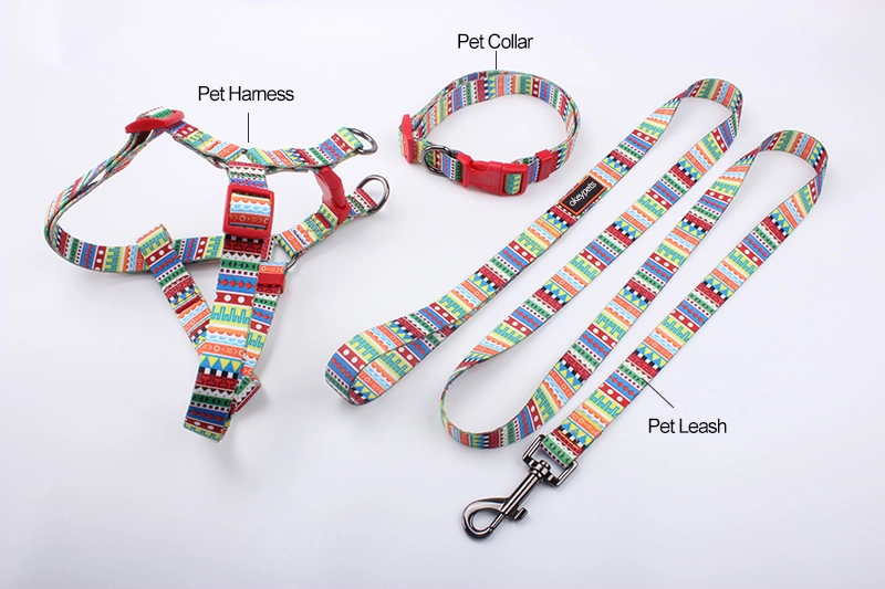 OKEYPETS egyedi tervezésű kutyahám húzásmentes kisállat hám mellkasi mellény könnyű séta saját márkás 8