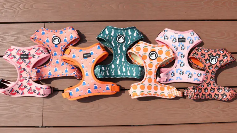 Ensembles de harnais pour chiens OKEYPETS personnalisés avec logo, réglables, rembourrés, doux et imprimés par sublimation en polyester doux 1