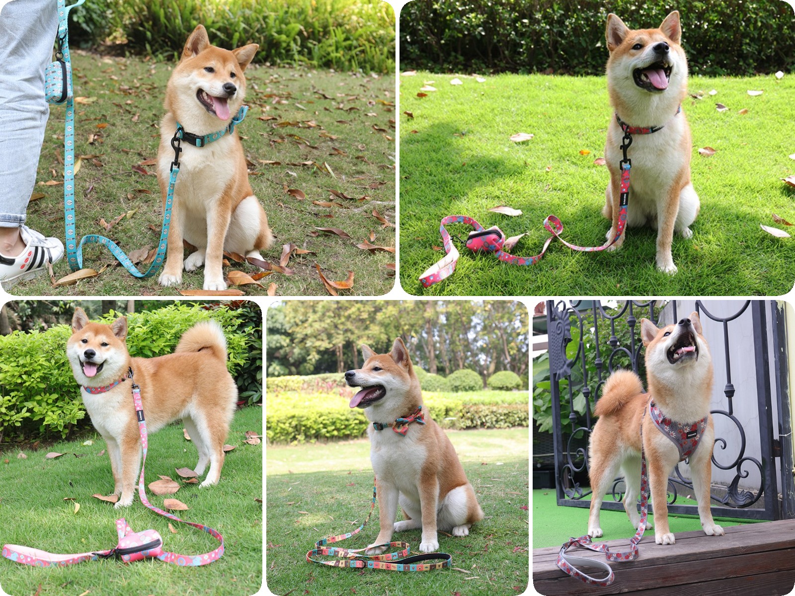 OKEYPETS - Laisse pour chien en polyester écologique avec mousqueton, design élégant et tendance, vendue en gros. 26