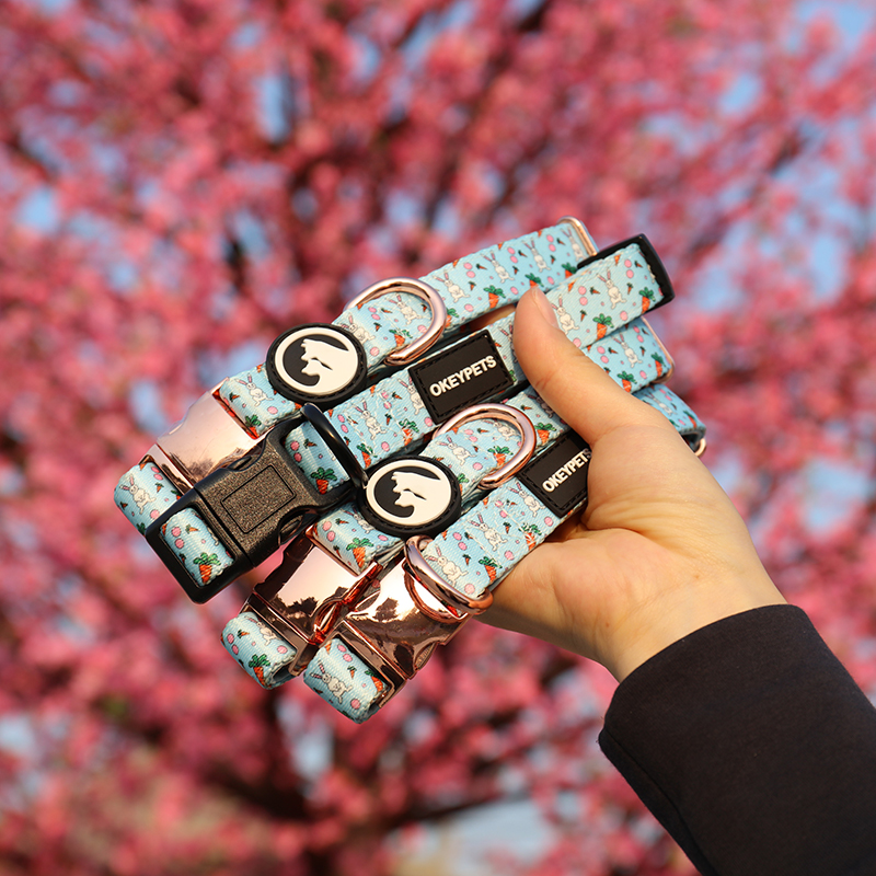 Collier OKEYPETS doux, confortable, respirant et ajustable pour la promenade et l'entraînement des chiots, chats et chiens, avec boucle de sécurité. 8