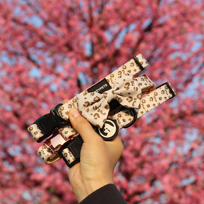 Collier OKEYPETS doux, confortable, respirant et ajustable pour la promenade et l'entraînement des chiots, chats et chiens, avec boucle de sécurité. 10