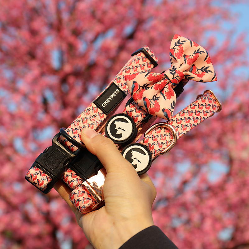 Collier OKEYPETS doux, confortable, respirant et ajustable pour la promenade et l'entraînement des chiots, chats et chiens, avec boucle de sécurité. 13