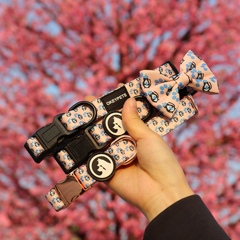 Collier OKEYPETS doux, confortable, respirant et ajustable pour la promenade et l'entraînement des chiots, chats et chiens, avec boucle de sécurité. 9
