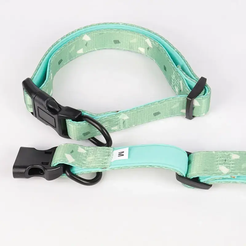 引っ張らない犬用首輪 - 柔らかいパッド入りで耐久性があります 2