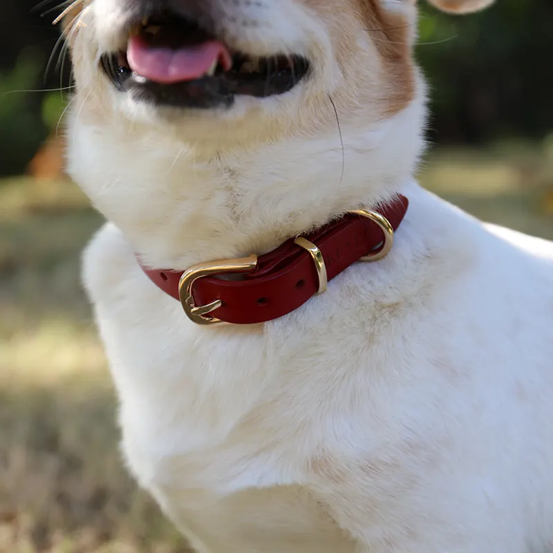 OKEYPETS Personalized Luxury Genuine Leather Dog Collar - Durable & Stylish 7