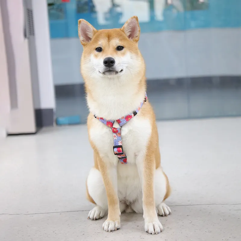 No-Pull Adjustable Dog Harness PET-0618H03, High-Quality Polyester, Small Dog Friendly 3