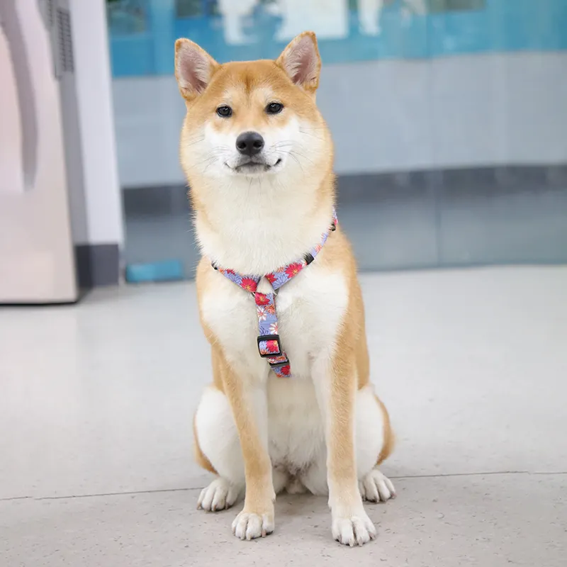 No-Pull Adjustable Dog Harness PET-0618H03, High-Quality Polyester, Small Dog Friendly 4