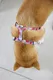 No-Pull Adjustable Dog Harness PET-0618H03, High-Quality Polyester, Small Dog Friendly 5