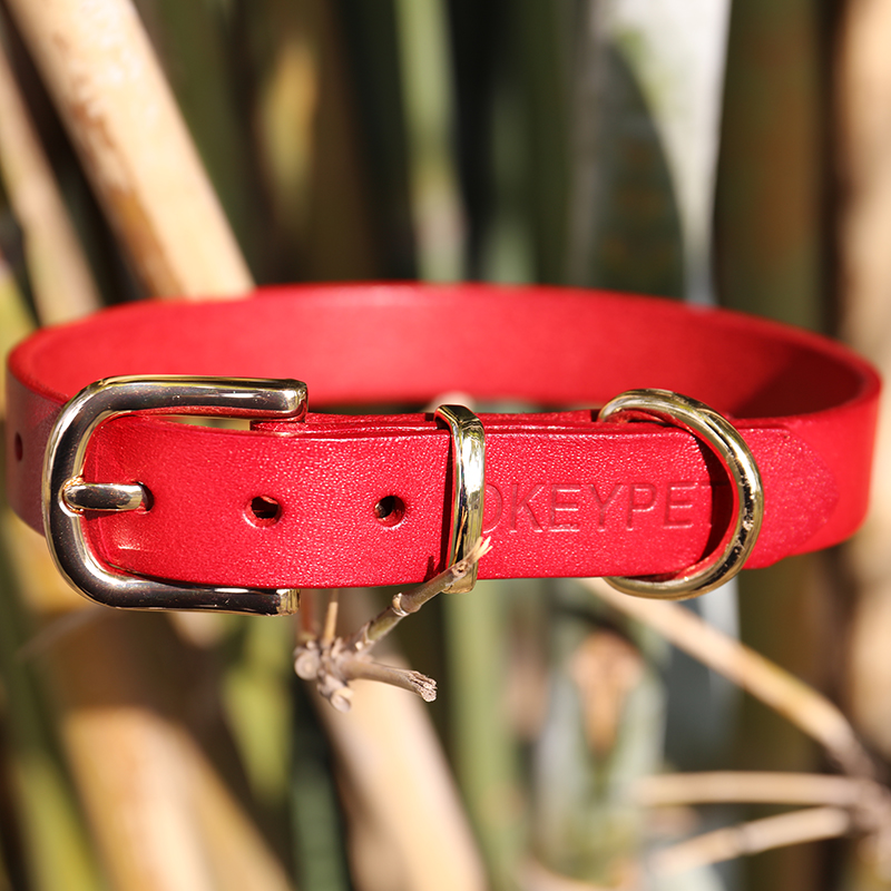 OKEYPETS - Colliers pour chiens en cuir imprimé OKEYPETS, couleur unie, véritables créations de designers, durables, réglables et confortables, grand collier en cuir de vachette. 9