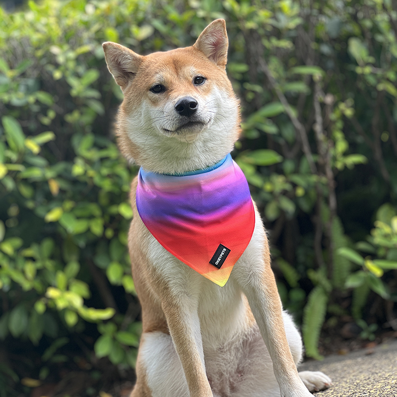 OKEYPETS Fabricant personnalisé gratuit Écharpe de cou pour chien, chiot ou chat Bandana lavable avec logo 8