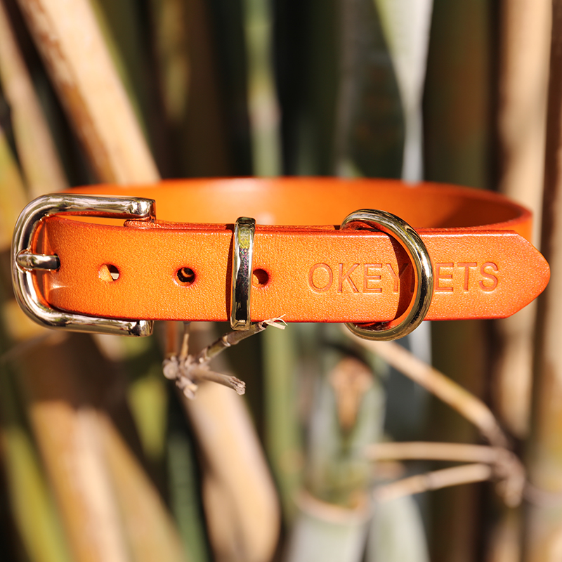 OKEYPETS - Colliers pour chiens en cuir de gros OKEYPETS, personnalisés, doux, confortables et écologiques, en cuir véritable. Colliers pour chiens en gros. 9