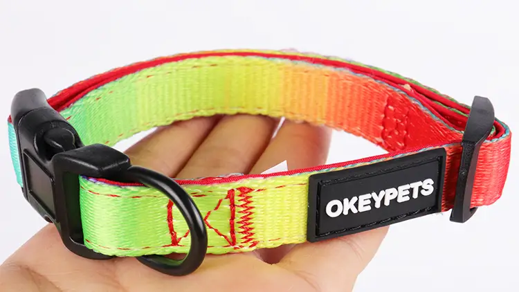 Collier pour chien OKEYPETS personnalisé arc-en-ciel par sublimation, ajustable, en néoprène souple rembourré, idéal pour l'entraînement et la course. 1