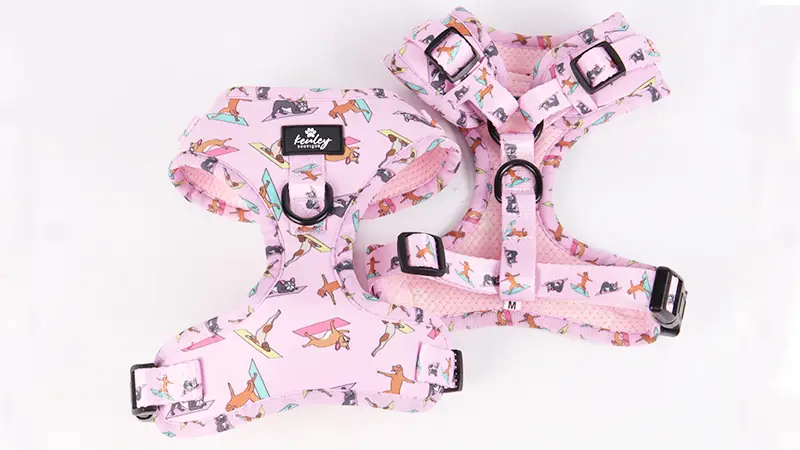 Harnais pour chien OKEYPETS personnalisé anti-traction, rembourré et confortable, idéal pour les chiots. 1