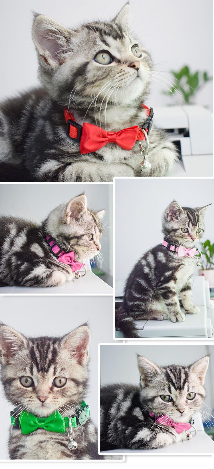 OKEYPETS - Vente en gros de colliers pour chats tendance, colorés et fantaisie avec clochette et nœud papillon, réglables et mignons. 21
