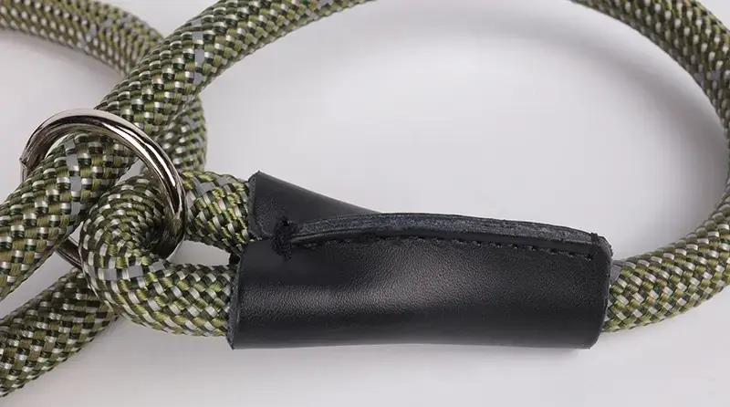 Reflective Nylon Dog Leash with Padded Handle 2