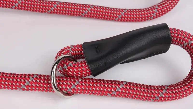 Reflective Nylon Dog Leash with Padded Handle 4