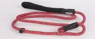 Reflective Nylon Dog Leash with Padded Handle 3