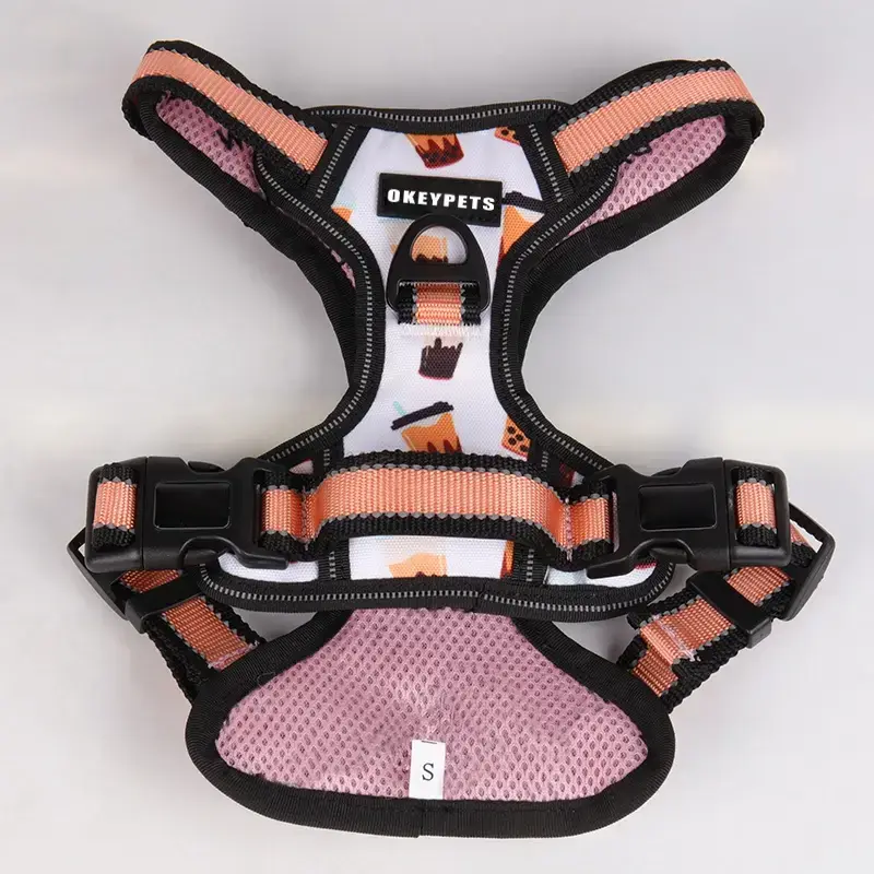 An úim madra is fearr a mhaireann do mhadraí beaga monarcha | OKEYPETS 5