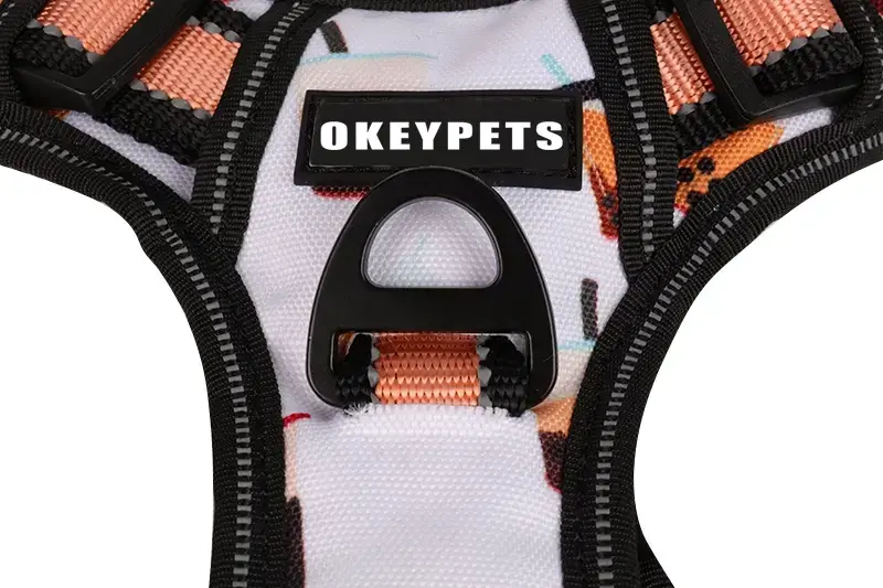 An úim madra is fearr a mhaireann do mhadraí beaga monarcha | OKEYPETS 7