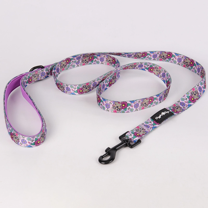 Fournisseur de Guangzhou OKEYPETS Laisse pour chien à dégagement rapide, impression violette 10