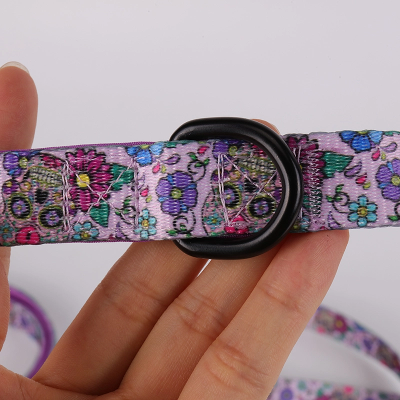 Fournisseur de Guangzhou OKEYPETS Laisse pour chien à dégagement rapide, impression violette 11