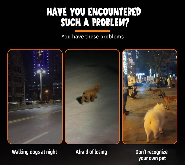 OKEYPETS - Collier lumineux multifonctionnel avec logo personnalisé, pour chien ou animal de compagnie. Pendentif lumineux LED 7 couleurs pour la nuit. 10