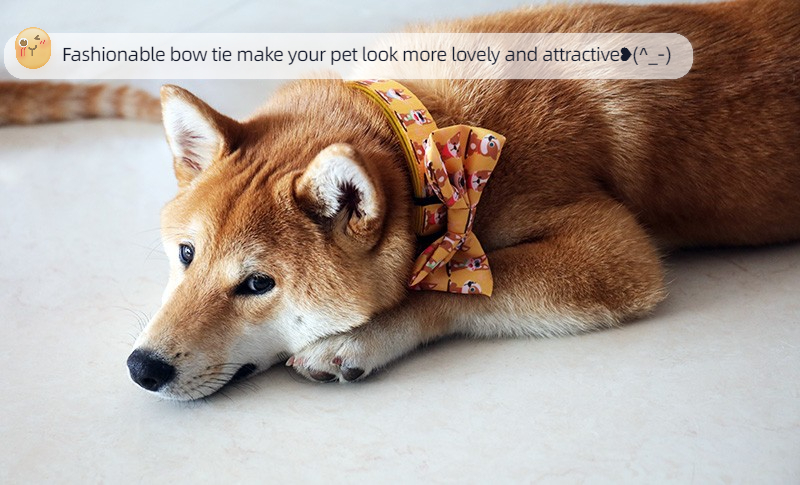 OKEYPETS - OKEYPETS Nœuds papillon de luxe en polyester pour chiens, en gros et en grande quantité. Décoration adorable pour animaux de compagnie. Nœud papillon coloré. 8