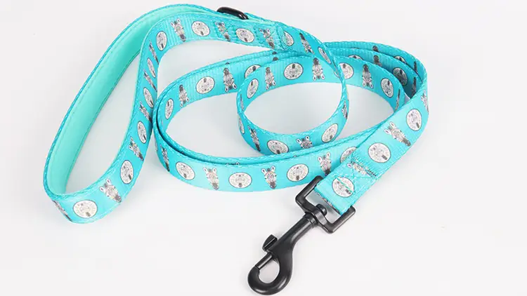 Laisse rembourrée OKEYPETS personnalisée avec impression par sublimation d'un adorable zèbre et poignée en néoprène 1