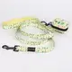 Reflective Outdoor Dog Leash with Padded Handle 2