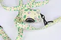 Reflective Outdoor Dog Leash with Padded Handle 4